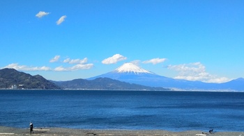 三保海岸.jpg